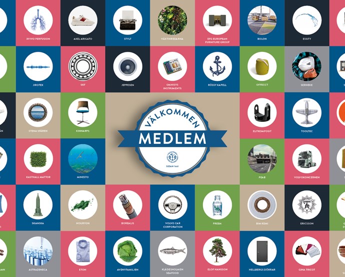 Möt våra senaste medlemsföretag