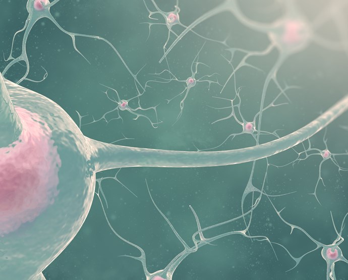 Motivera dina medarbetare med kunskap om hjärnan